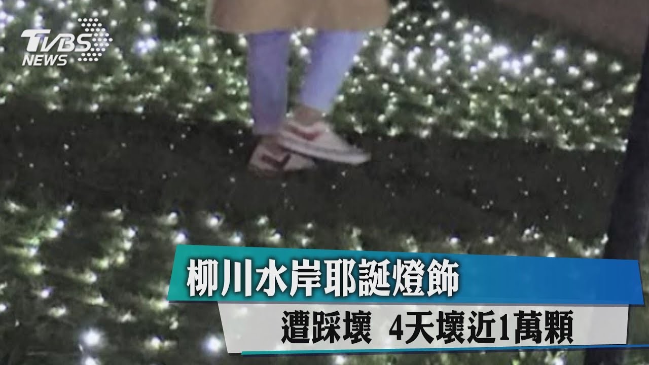 民眾搶拍美照 一腳踩爆「燈泡花海」整片秒熄滅