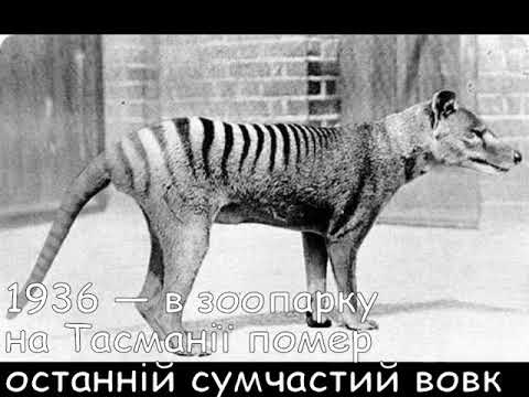 Цей день в історії. 6 вересня. СЛАЙДШОУ