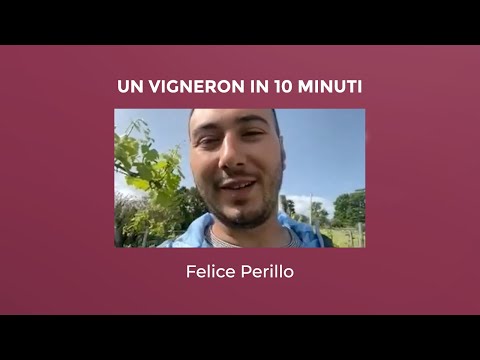 Un Vigneron in 10 Minuti: Felice Perillo