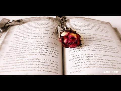 Love Quotes Wallpapers And Backgrounds Video