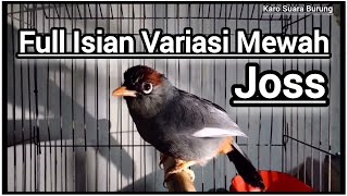 Download lagu Video Burung Poksay Mandarin Gacor Full Variasi Mewah Pancingan Terbaru Poksay.. mp3 Download lagu Video Burung Poksay Mandarin Gacor Full Variasi Mewah Pancingan Terbaru Poksay.. mp3