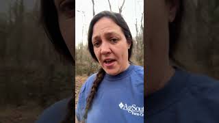 Enjoy Life 🎄 #truegritappalachianways