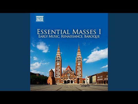 Sacrae cantiones, Book 4: Infelix ego