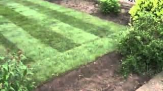 Turf & Soil Supplies - Abbeydale Lawn Turf Services