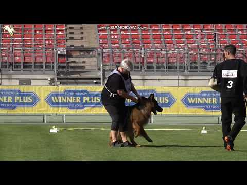 1528 Amiro von Team Kiasa - TSB BSZS-2023