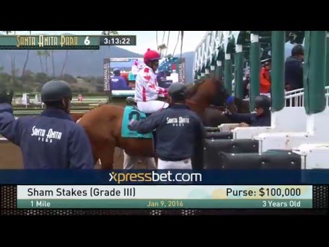 Sham Stakes (Gr. III) - Saturday, January 9, 2016 HD