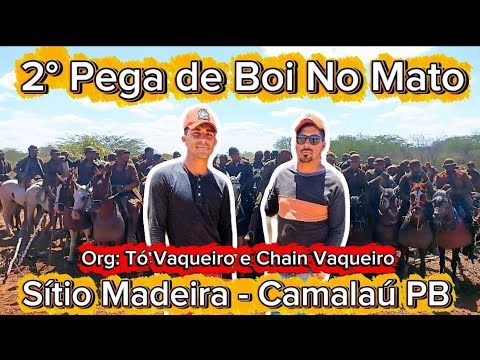2° Pega de Boi no Mato Sítio Madeira - Camalaú PB Org: Tó Vaqueiro e Chain Vaqueiro 
