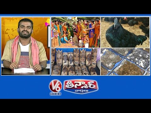 Woman Surviving Only On Tea | Vintage Coin Collections | Girls Rural Library | V6 Weekend Teenmaar