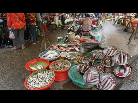 Morning Daily LifeStyle of Vendors @Century Plaza Market - Walk Around Street Food Market in Morning