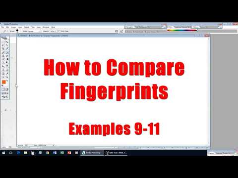 How To Compare Fingerprints -  Examples 9-11