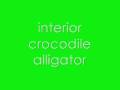 interior crocodile alligator. (FULL SONG). 