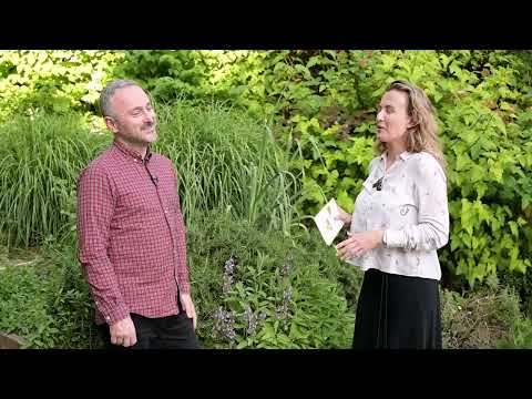 Biljke za žensko i muško reproduktivno zdravlje