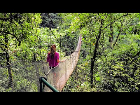 La Rivoluzione dell'amore _ Una nuova trama del mondo