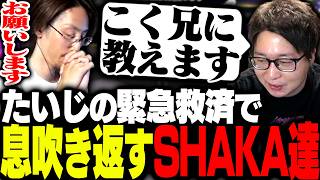 大会前日の絶望的状況からたいじの緊急コーチングで息を吹き返し始めるチームSHAKA【スプラトゥーン3】