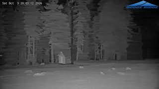 Dodge Ridge Mountain Resort - Summit Webcam live webcam