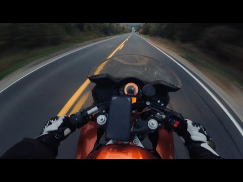 SV650S CHILLY EVENING - PURE SOUND