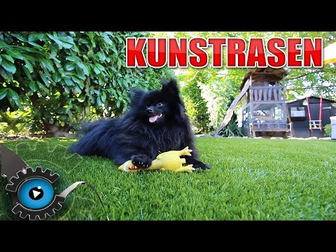 download lagu mp3 mp4 Kunstrasen, download lagu Kunstrasen gratis, unduh video klip Kunstrasen