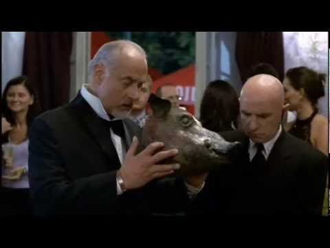 Poranek Kojota - Senator Polak