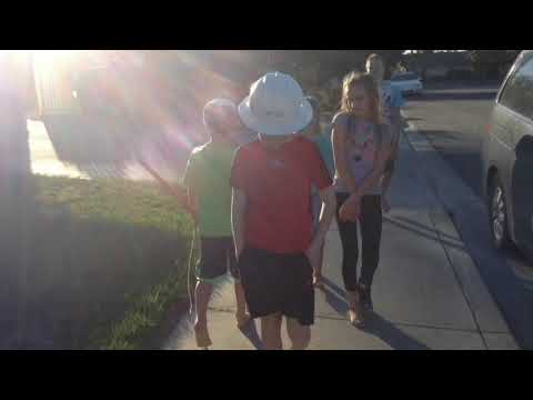 The Great Adventure of Hobo Joe Trailer