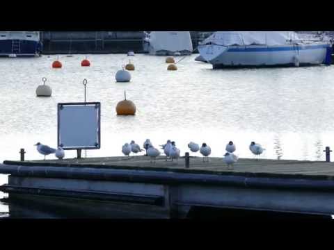 From Pully to Lausanne