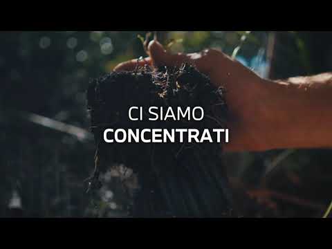 Il mondo sta cambiando, è già cambiato.