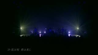 Hana wa sakura kimi wa utsukushi - ikimono gakari