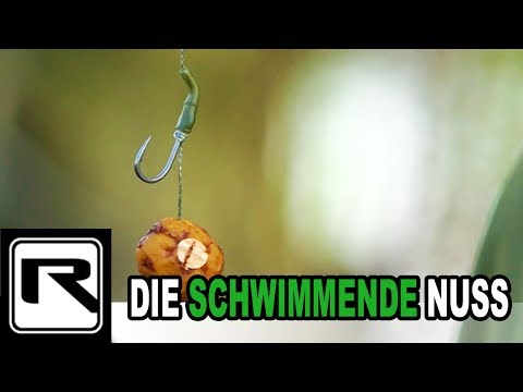 Mit Tigernuss auf Karpfen - Auftrieb für Bodenköder