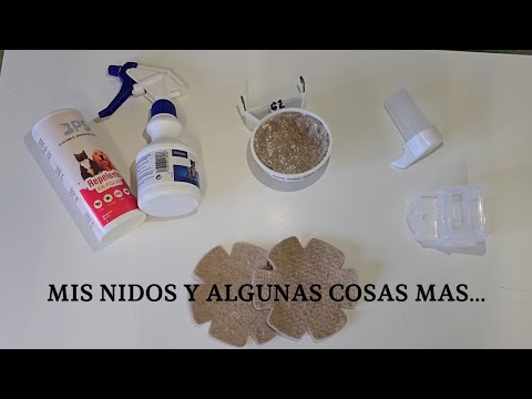 MANEJO #30 NUESTROS NIDOS Y ALGUNAS COSITAS MÁS... 👍