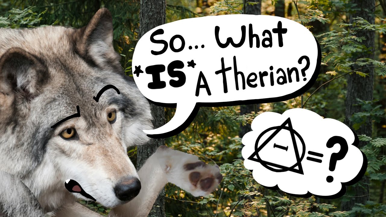 What is a Therian?