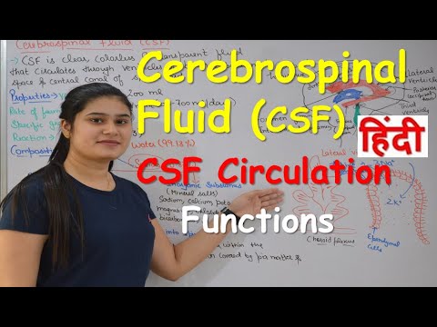 Lecture 6 | Cerebrospinal fluid in Hindi (CSF) | Functions | Production | CSF Circulation