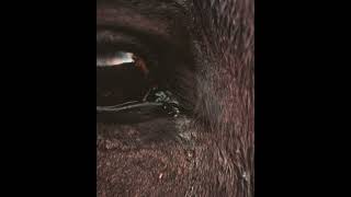 Poco es tanto...  #musicarelajante  #nature #músicarelajante #mindfulness #relax  #relaxing