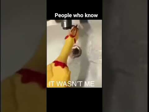 rubber chicken drowning meme