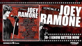 HOMENAJE A JOEY RAMONE. 19 - I know Better Now.-