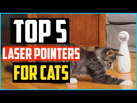Top 5 Best Laser Pointers For Cats Review In 2020