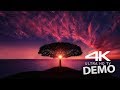 4K VIDEO UltraHD HDR Sony 4K VIDEOS Demo