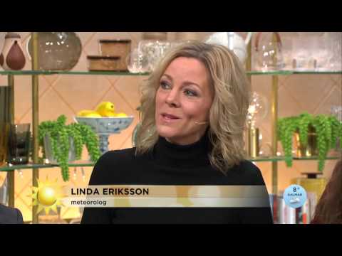 Soraya Lavasani: ”Vissa blir man faktiskt besviken på”  - Nyhetsmorgon (TV4)