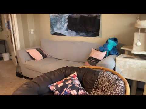 2114 10th Avenue - Video 2 of 2