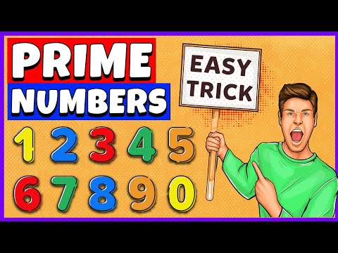 Prime Numbers | Prime Numbers from 1 to 100