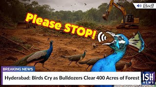 Hyderabad: Birds Cry as Bulldozers Clear 400 Acres of Forest