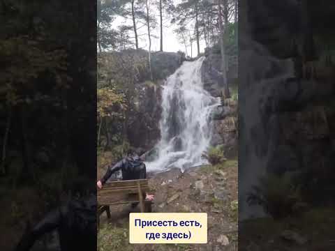 Наедине с природой под дождем