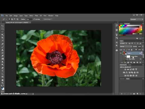 Using Filters to Add Artistic Flair video thumbnail
