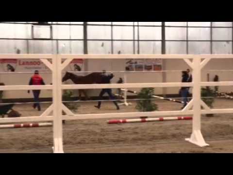 Odina Van 't Merelsnest