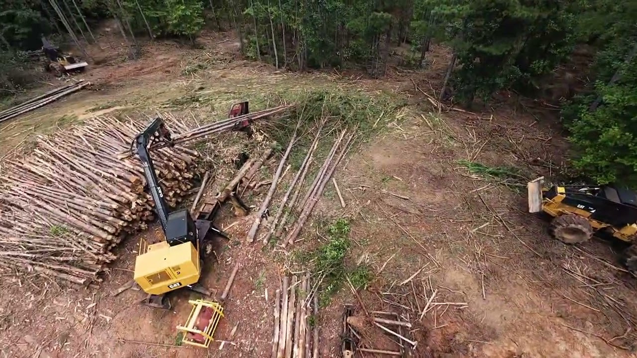 Logging in the South