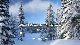 EXO (엑소) - Winter Song Playlist (Pt.2)🎄❄️