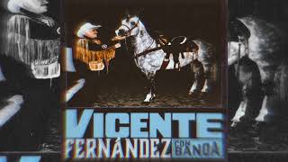 Aquella Edad Vicente Fernández con Banda