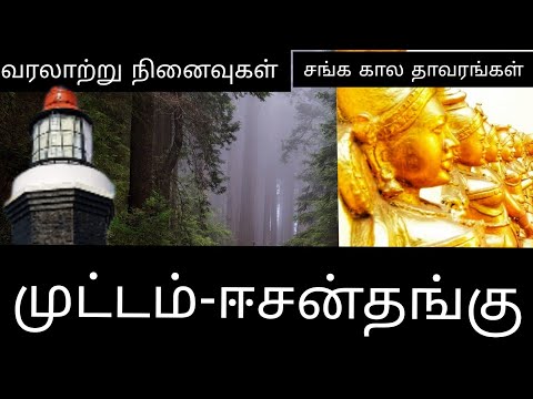 அழியாத வரலாறு முட்டம் to ஈசன் தங்கு / இயற்கை #muttom #nature #beach