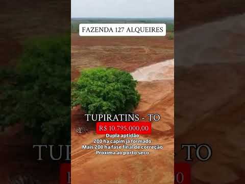 Fazenda 127 alqueires em Tupiratins TO / whatsapp 62 99373-6407