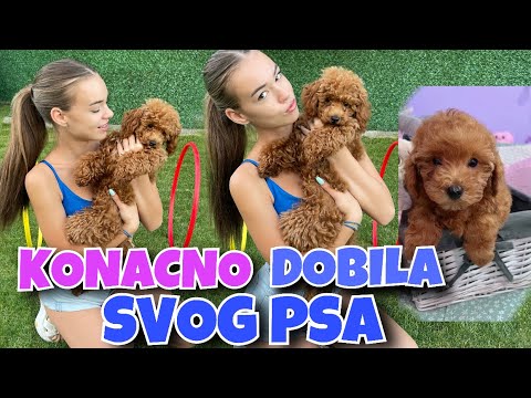 DOBILA SAM SVOG KUĆNOG LJUBIMCA! *Presrećna*