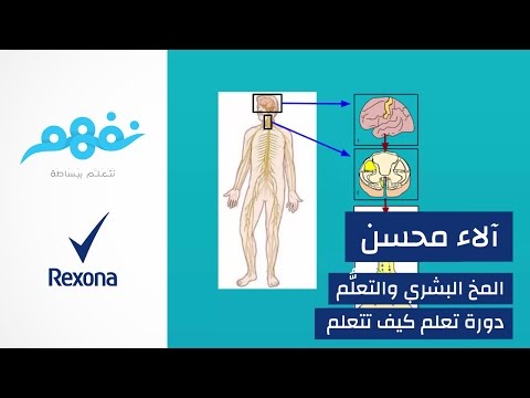 مسابقة تعلم كيف تتعلم: المخ والعقل البشري  | برعاية ريكسونا | موقع نفهم