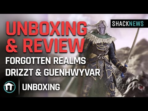Unboxing & Review: Dungeons & Dragons Forgotten Realms Drizzt & Guenhwyvar